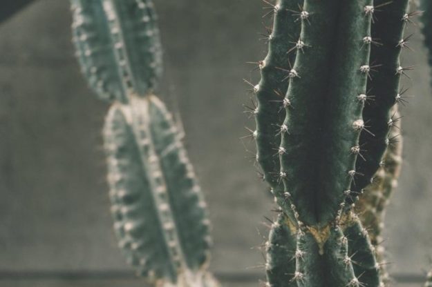 hysterische persönlichkeit