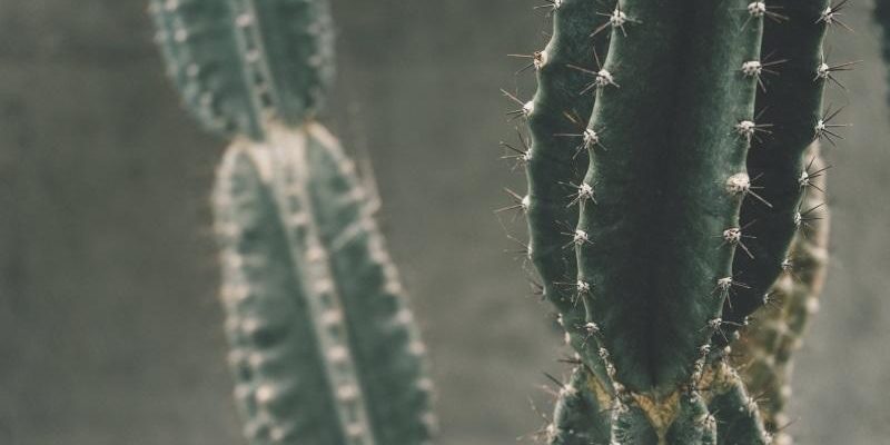 hysterische persönlichkeit