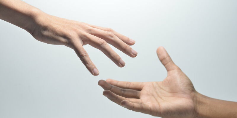 Hilfsstoffe – Spezialisten unter den Mikronährstoffen