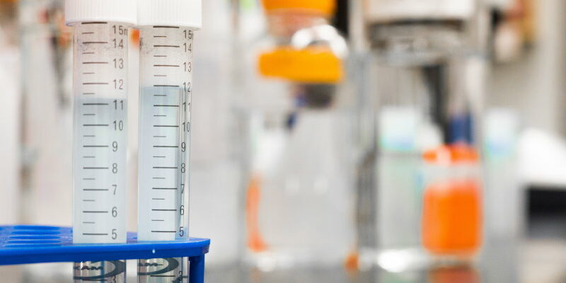 Zusatzstoffe in Mikronährstoffpräparaten