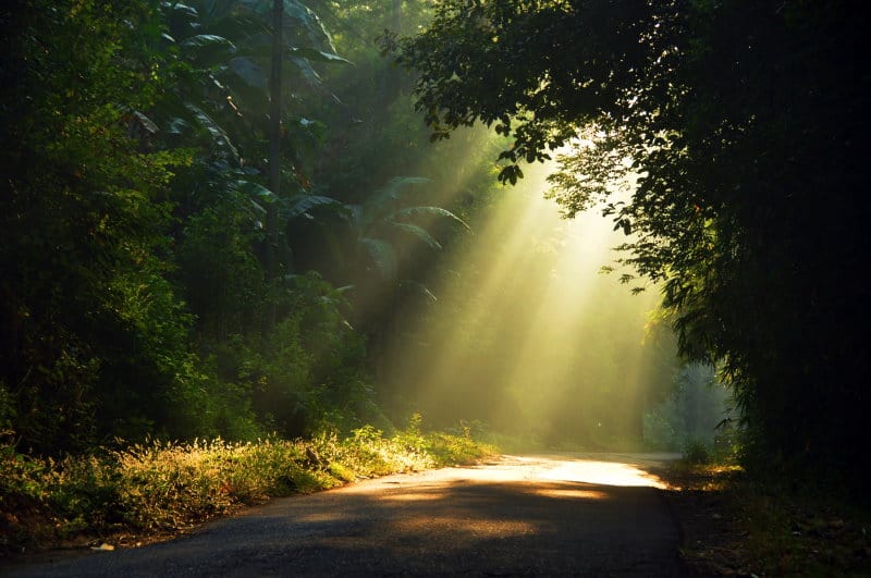 Behandlung suizidaler Menschen
